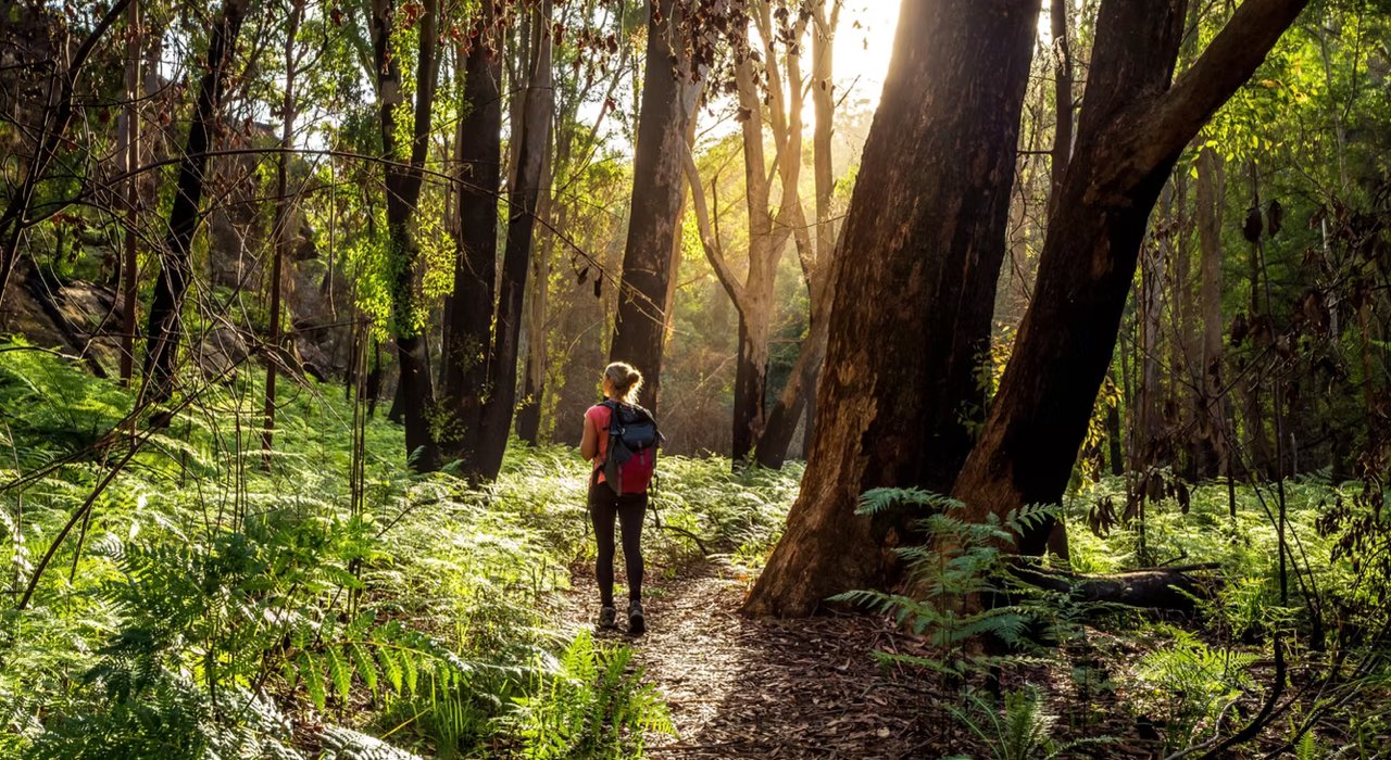 Frau wandert im Abendlicht durch einen Wald